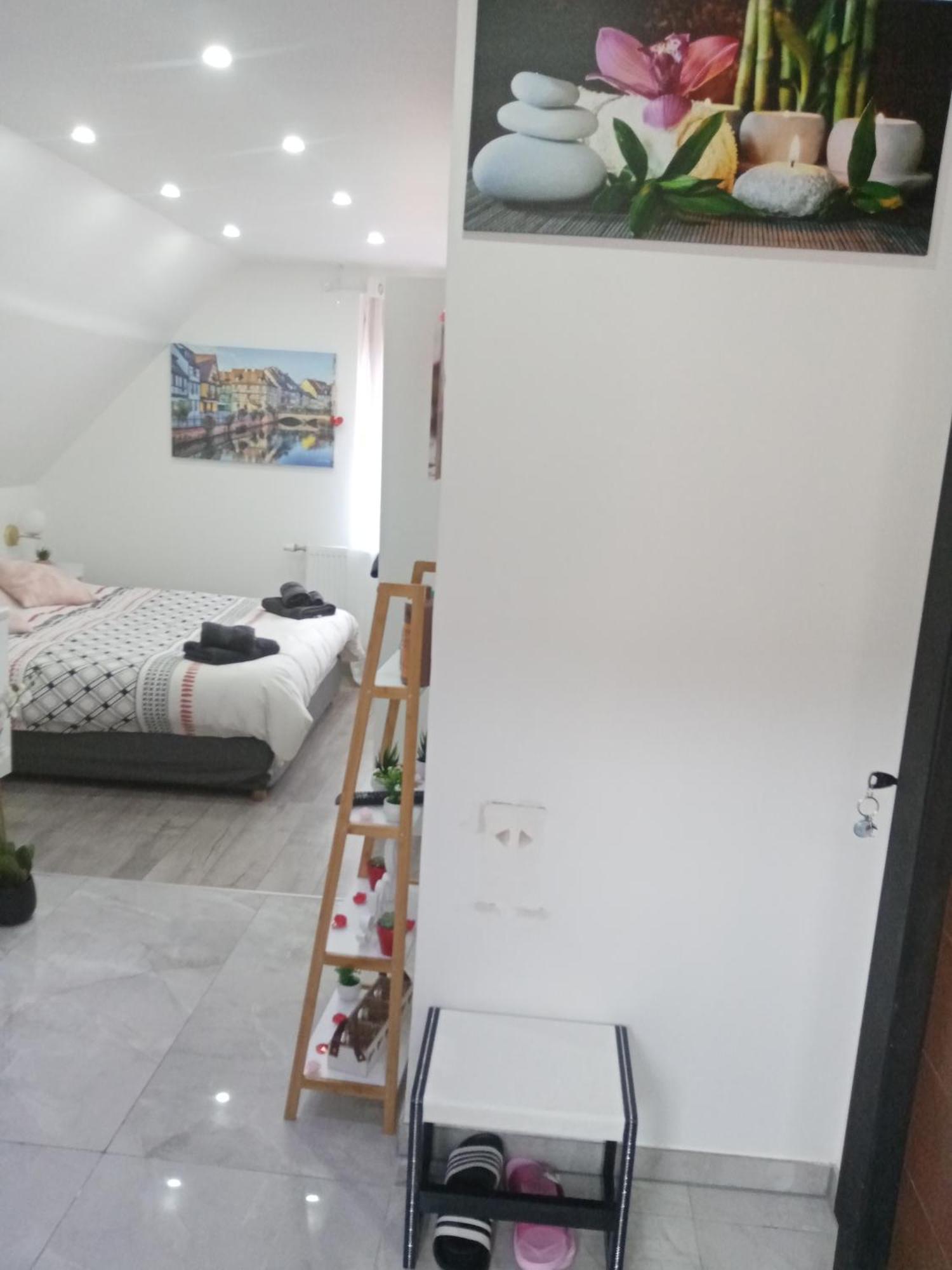 Studio Jacuzzi Au Centre กอลมาร์ ห้อง รูปภาพ